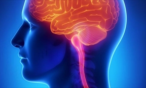 Dikkat Dağınıklığı Hiperaktivitenin Sebepleri Nelerdir?